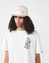 ICECREAM Pinstripe Trucker Cap, Pink