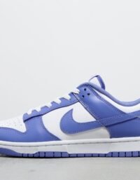 Nike Dunk Low - Blue