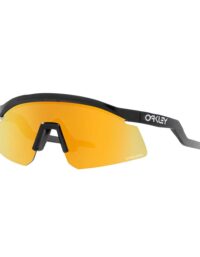 Oakley Hydra Black Ink Prizm 24K