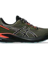 Asics GT-1000 13 TR Men Nature Bathing/Red Snapper