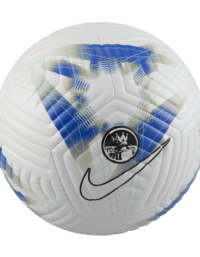 Nike Premier League Academy
