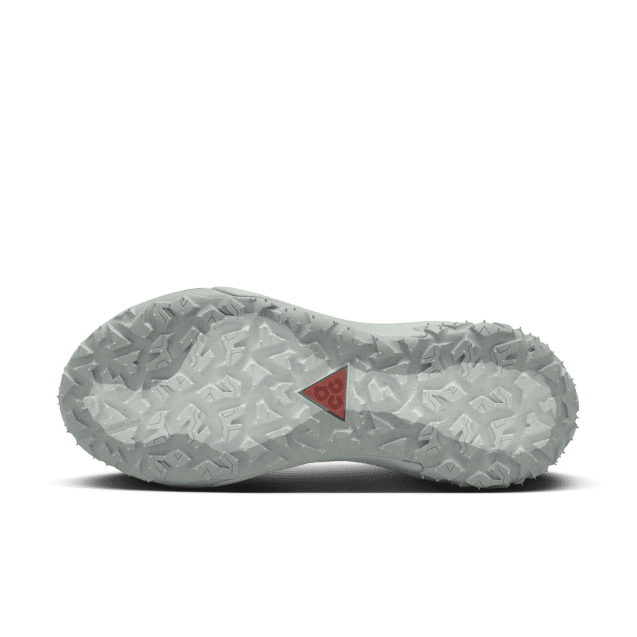Nike Nike ACG Mountain Fly 2 Low GORE-TEX