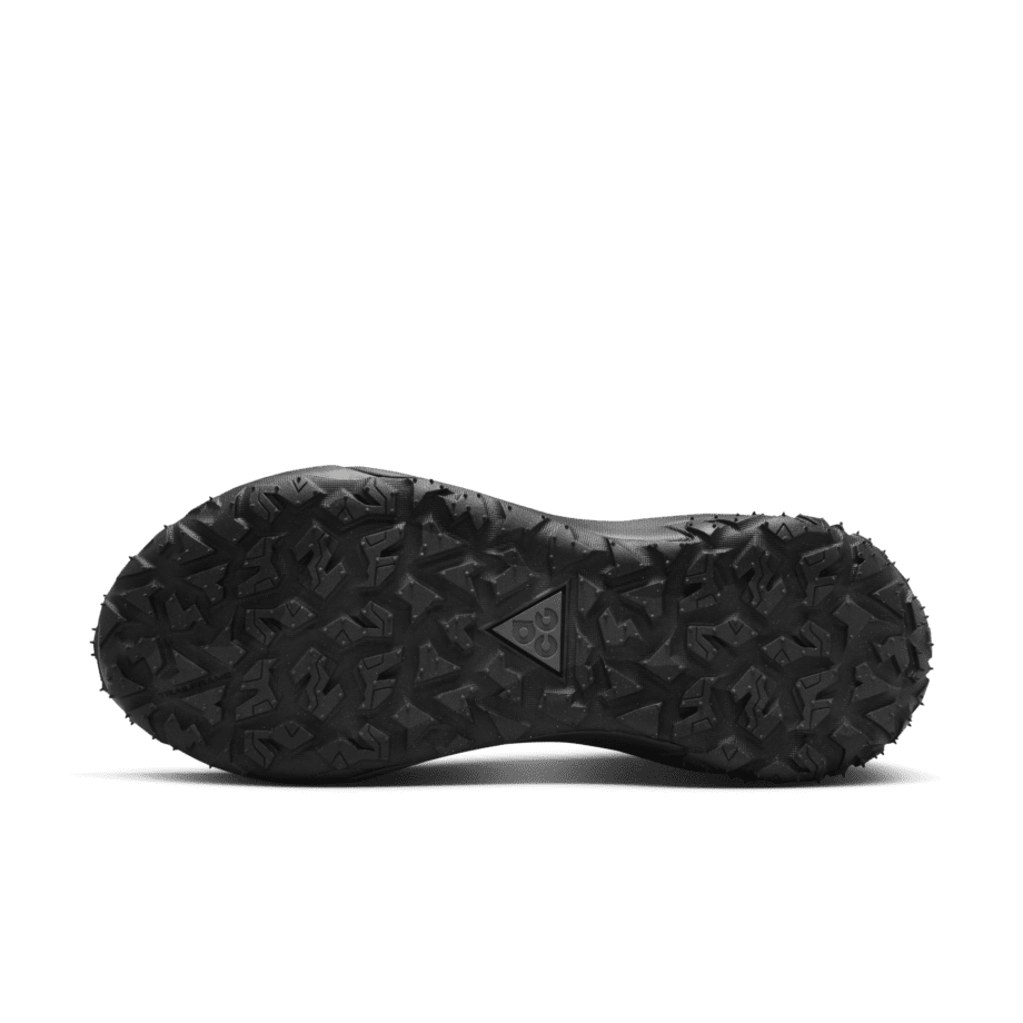Nike Nike ACG Mountain Fly 2 Low GORE-TEX