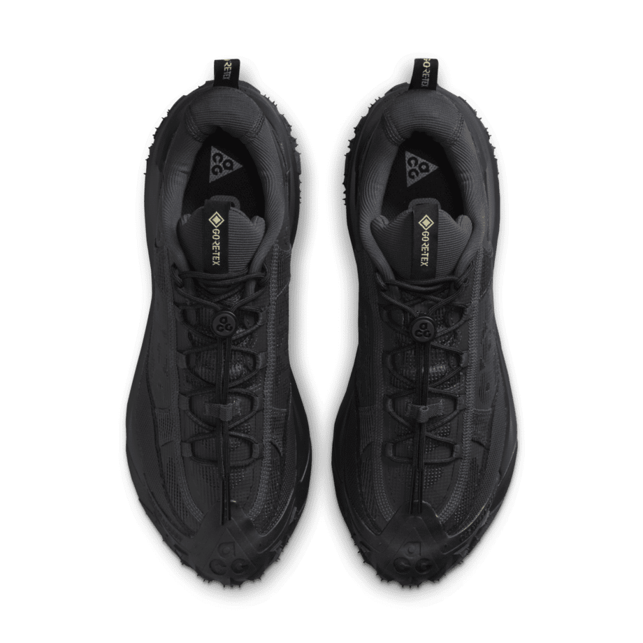 Nike Nike ACG Mountain Fly 2 Low GORE-TEX
