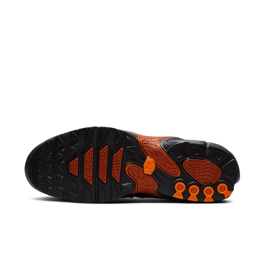 Nike Nike Air Max Plus Drift