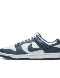 Nike Nike Dunk Low Retro