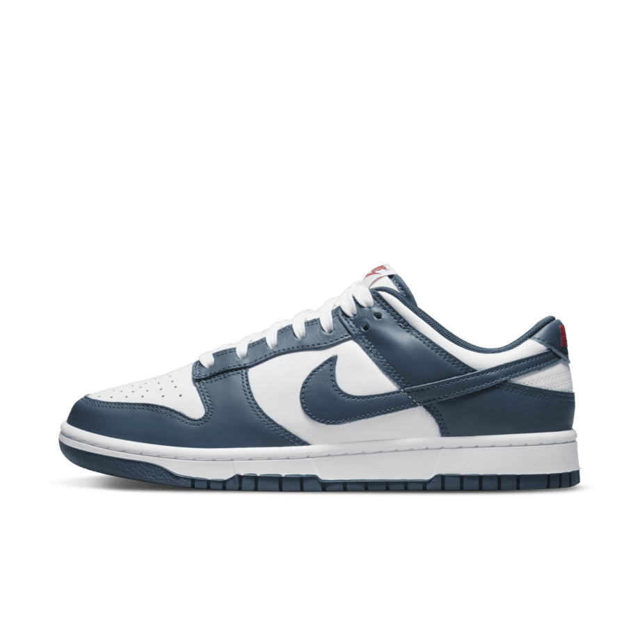 Nike Nike Dunk Low Retro