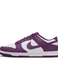 Nike Nike Dunk Low Retro