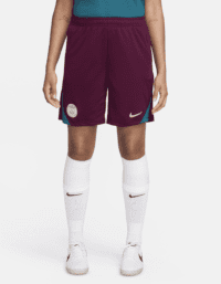 Nike Paris Saint-Germain Strike
