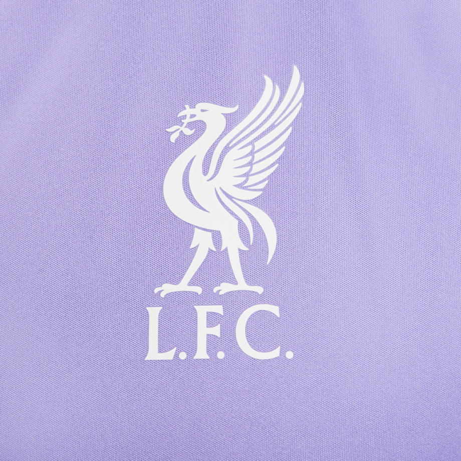 Nike Liverpool FC Strike Winter Warrior (tredjeställ)