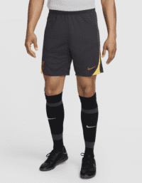 Nike Liverpool FC Strike (tredjeställ)