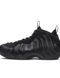 Nike Nike Air Foamposite One
