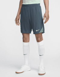 Nike Tottenham Hotspur Strike (tredjeställ)