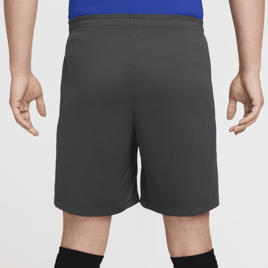 Nike FC Barcelona Strike (tredjeställ)