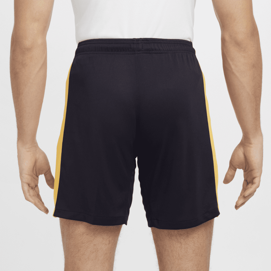 Nike Inter Milan 2024/25 Stadium (tredjeställ)
