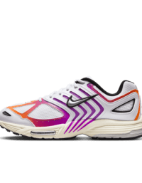 Nike Nike Air Pegasus 2005