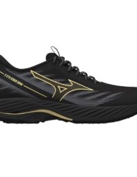 Mizuno Wave Rider GTX 2