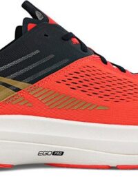 Altra Vanish Carbon (Herr): 45 (US 11)