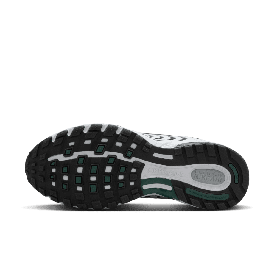 Nike Nike Air Pegasus 2005