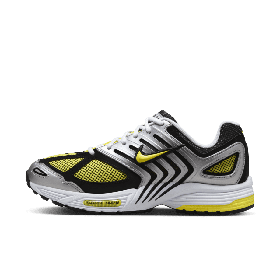 Nike Nike Air Pegasus 2005