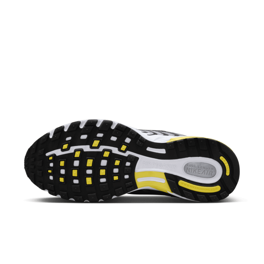 Nike Nike Air Pegasus 2005