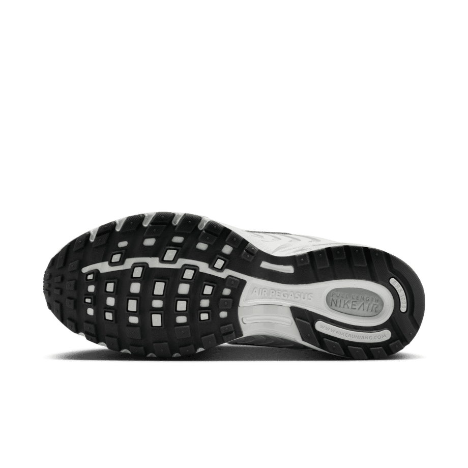 Nike Nike Air Pegasus 2005