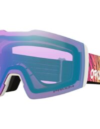 Oakley Skidglasögon