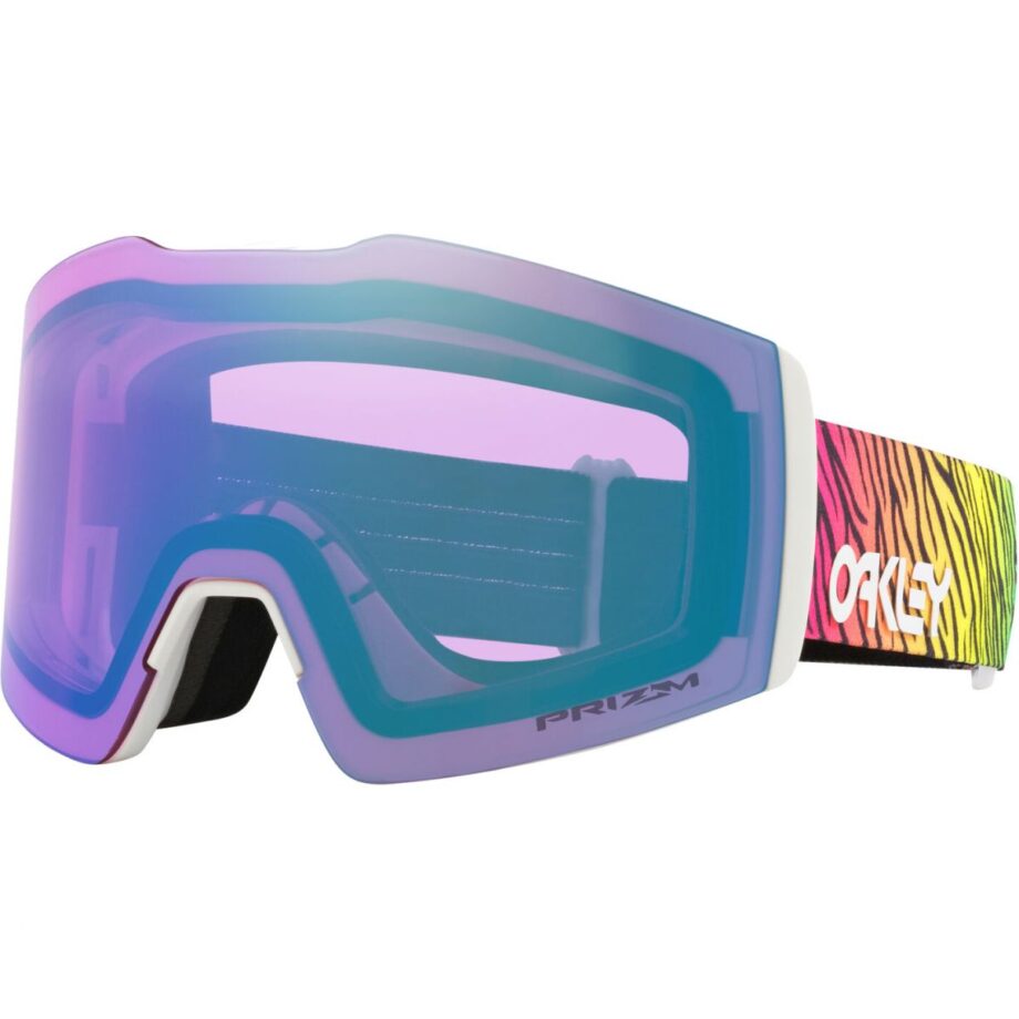 Oakley Skidglasögon