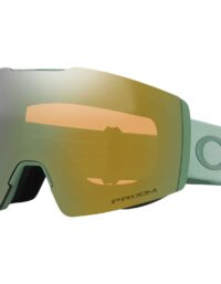 Oakley Skidglasögon