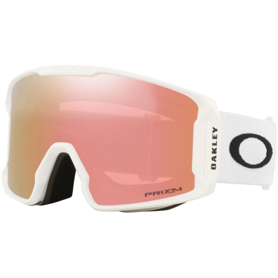 Oakley Skidglasögon