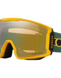Oakley Skidglasögon