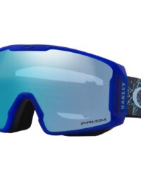 Oakley Skidglasögon