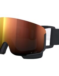 POC Skidglasögon
