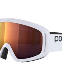 POC Skidglasögon