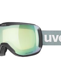 Uvex Skidglasögon