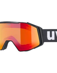Uvex Skidglasögon