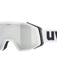 Uvex Skidglasögon