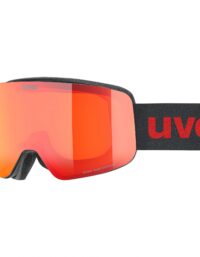 Uvex Skidglasögon