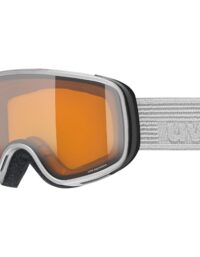 Uvex Skidglasögon