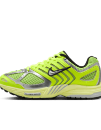 Nike Nike Air Pegasus 2005