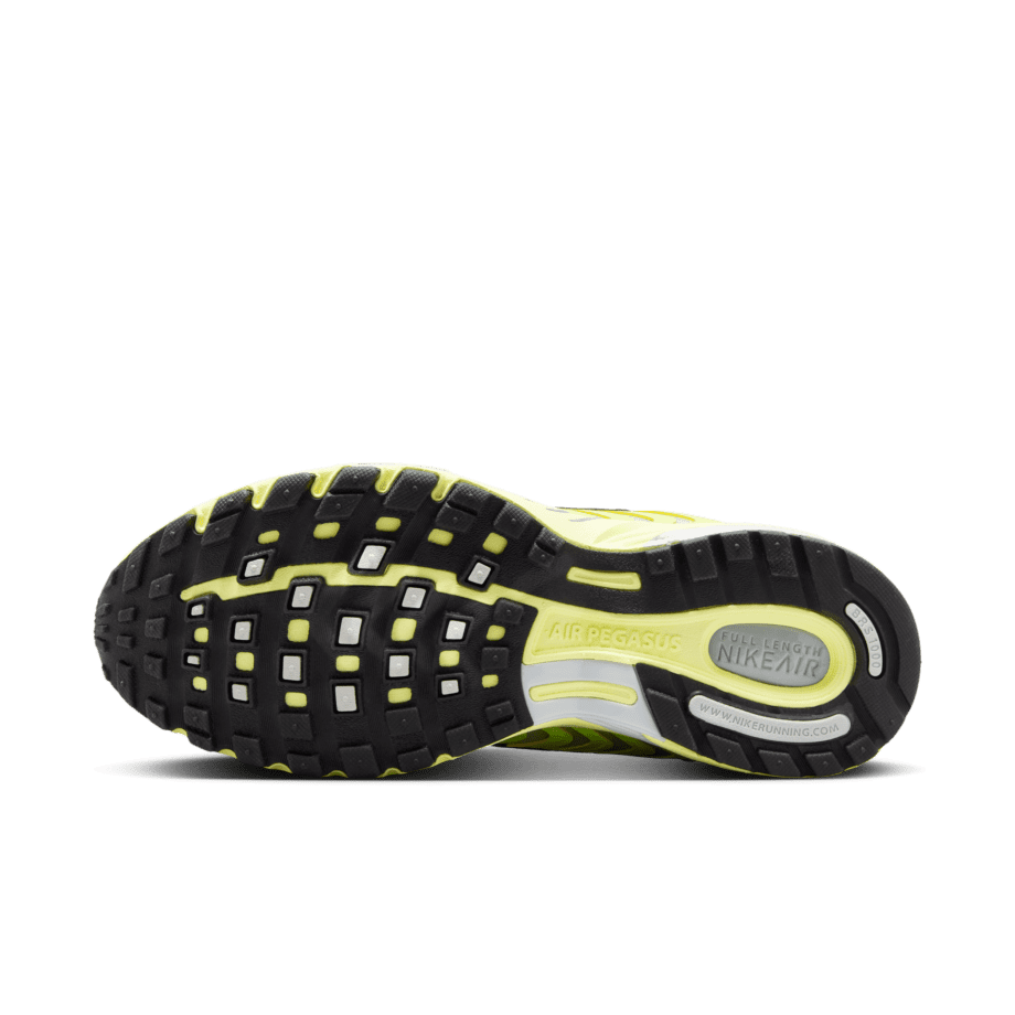 Nike Nike Air Pegasus 2005