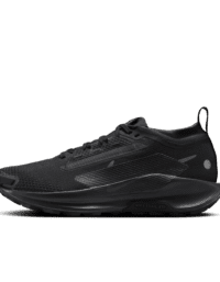 Nike Nike Pegasus Trail 5 GORE-TEX
