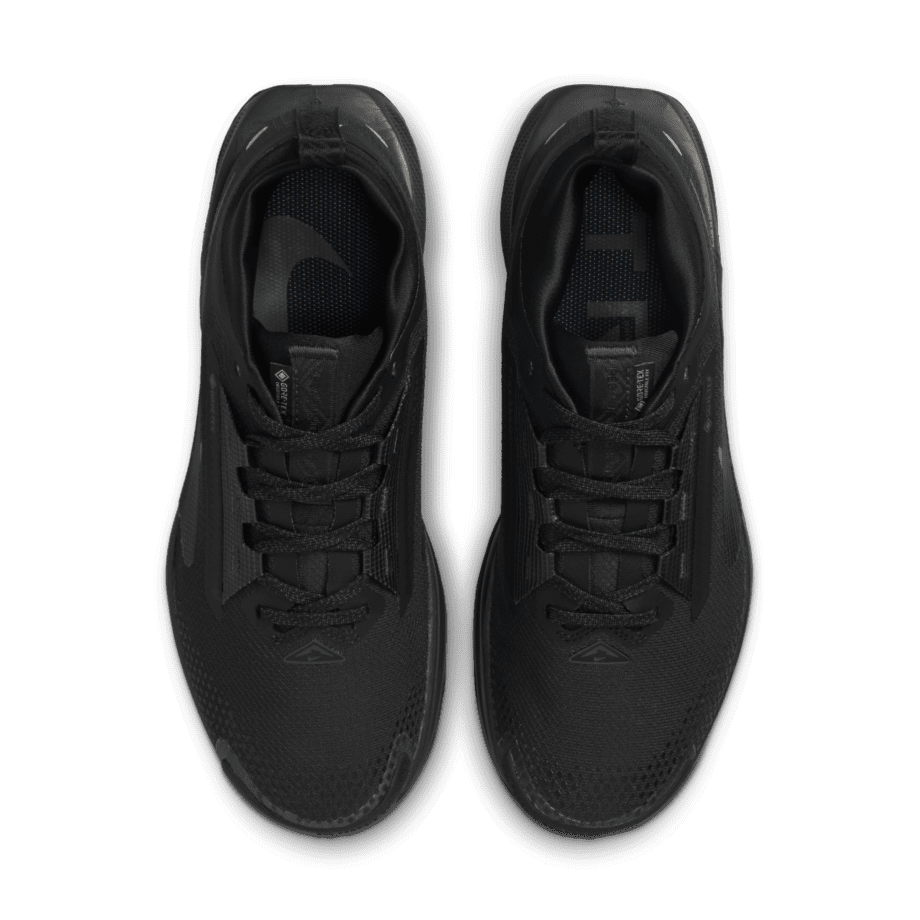 Nike Nike Pegasus Trail 5 GORE-TEX