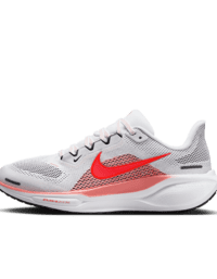 Nike Nike Pegasus 41