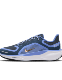 Nike Nike Pegasus 41 GORE-TEX