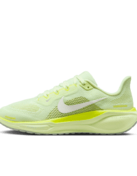 Nike Nike Pegasus 41