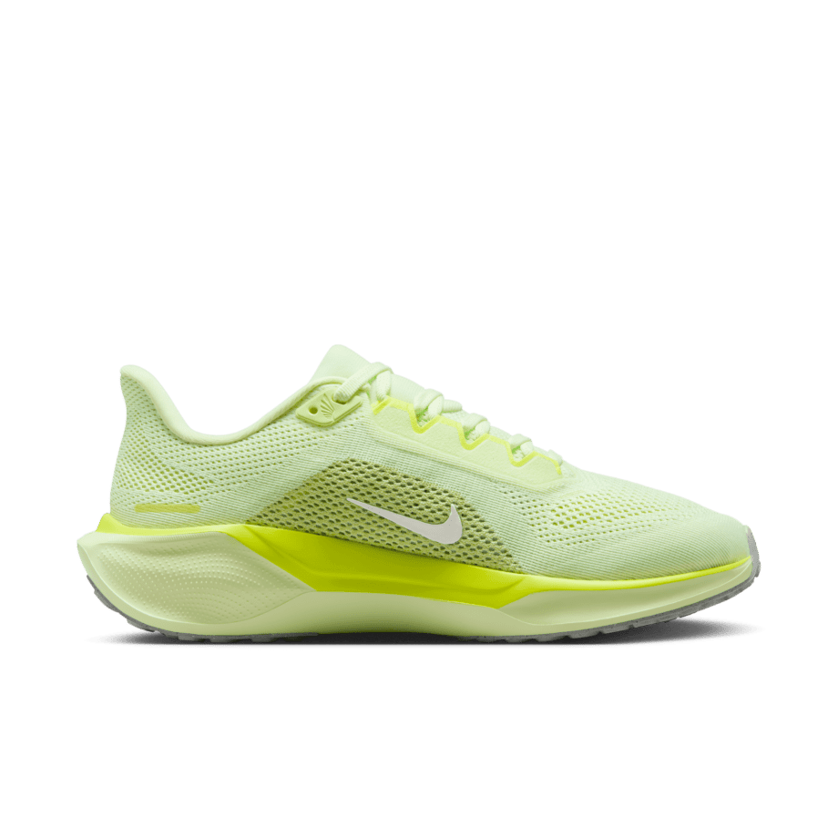 Nike Nike Pegasus 41