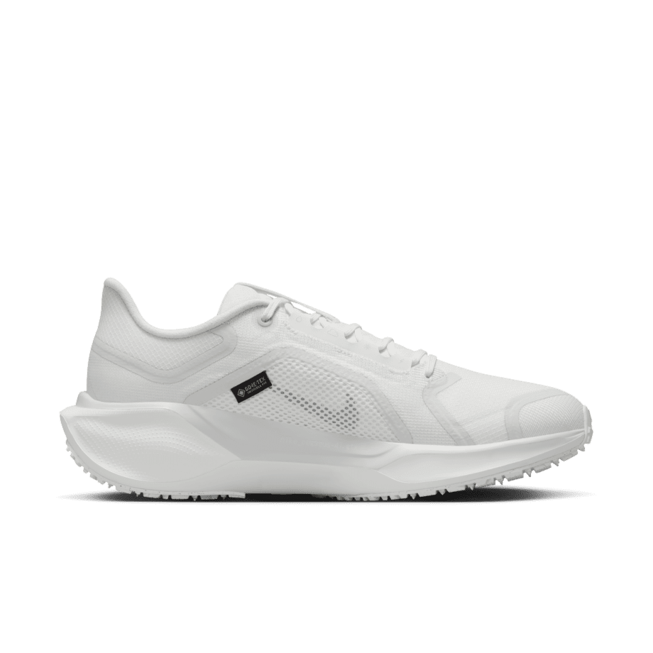 Nike Nike Pegasus 41 GORE-TEX