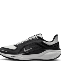 Nike Nike Pegasus 41 GORE-TEX