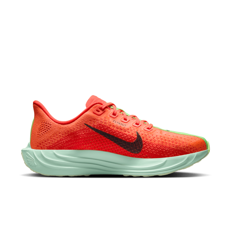 Nike Nike Pegasus Plus